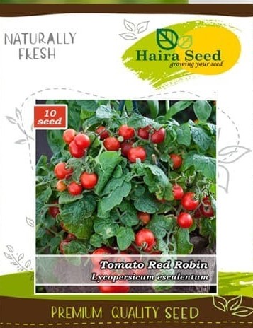 Haira Seed Tomato Red Robin - GOODPLANT | Toko dan Kebun Hidroponik | 0822 2727 3232