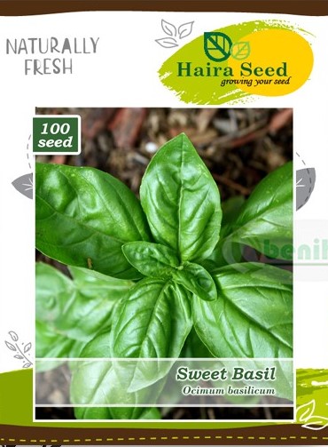 Haira Seed Genovese Basil - GOODPLANT | Toko dan Kebun Hidroponik | 0822 2727 3232