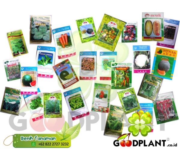 New Day Seed Paprika Amazing F1 - GOODPLANT | Toko dan Kebun Hidroponik | 0822 2727 3232