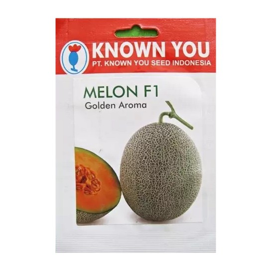Known You Seed Melon F1 Golden Aroma - GOODPLANT | Toko dan Kebun Hidroponik | 0822 2727 3232