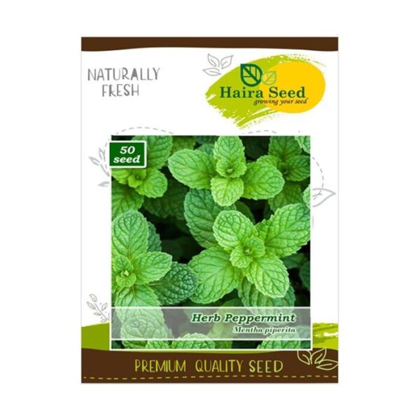 Haira Seed Herb Peppermint - GOODPLANT | Toko dan Kebun Hidroponik | 0822 2727 3232
