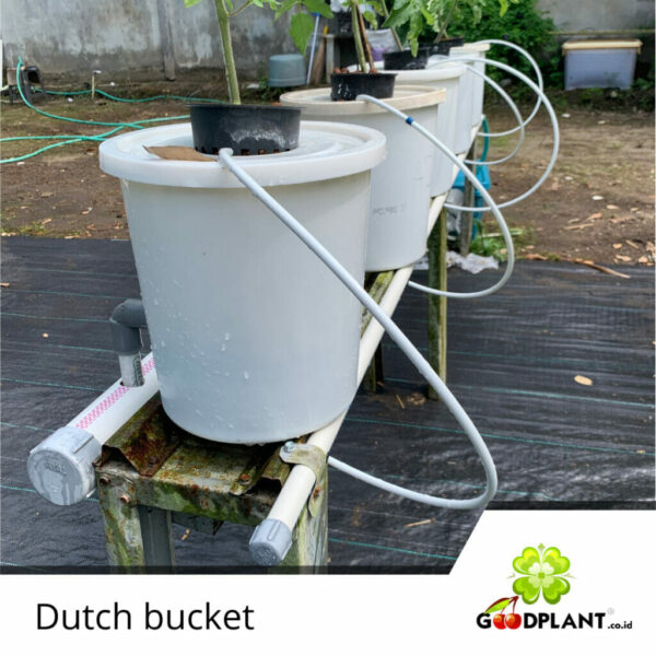 Dutch Bucket Mini - GOODPLANT | Toko dan Kebun Hidroponik | 0822 2727 3232