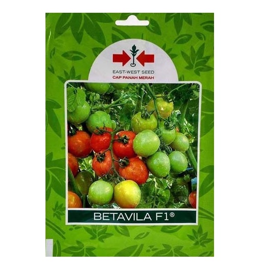 Benih Panah Merah Tomat Betavila F1 - GOODPLANT | Toko dan Kebun Hidroponik | 0822 2727 3232